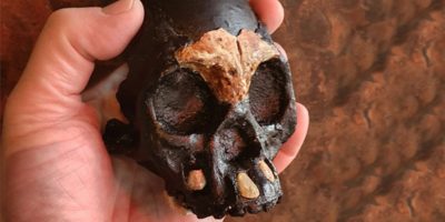 Το μικροσκοπικό κρανίο που βρέθηκε σε σπήλαιο ανήκει σε πρόγονο του ανθρώπου. Έζησε την ίδια περίοδο με τον Homo Sapiens