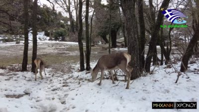 Εντυπωσιακές εικόνες πάνω από τη χιονισμένη Πάρνηθα. Έκτακτο δελτίο επιδείνωσης με νέες χιονοπτώσεις και ανέμους έως 9 μποφόρ