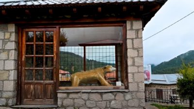 Το χωριό των ξυλοκόπων που αγάπησε μια αρκούδα και την βαλσάμωσε. Δείτε τον άγνωστο καταρράκτη της από ψηλά (drone)