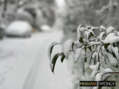 Οι χιονοπτώσεις αναμένεται να συνεχιστούν μέχρι και το πρωί της Τρίτης – Νέα ενημέρωση από το Εθνικό Αστεροσκοπείο Αθηνών
