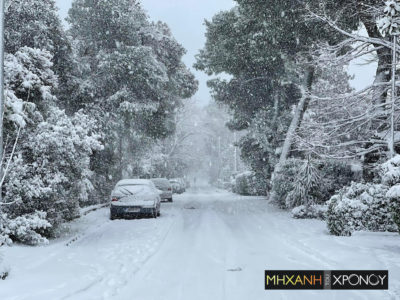 Πυκνή χιονόπτωση ακόμα και στο κέντρο της Αθήνας – Σε ποιούς δρόμους έχει διακοπεί η κυκλοφορία