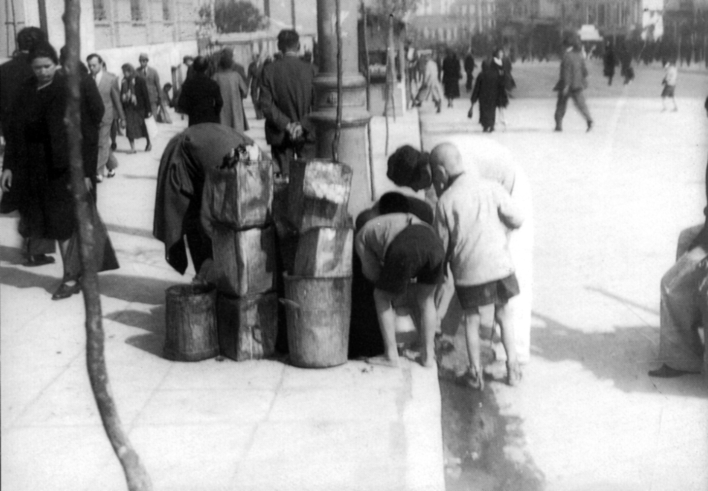 Η πείνα και οι συνταγές της κατοχής. Συνταγές για γάτες, σκύλους και γαϊδούρια. Το κατοχικό σύνδρομο