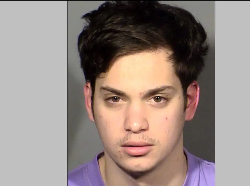 Φέρεται να συνελήφθη στο Λας Βέγκας ο 23χρονος γιος του Λιακουνάκου για κλοπή Bitcoin 500.000 δολαρίων