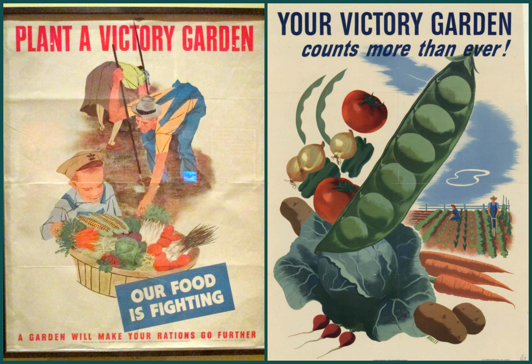 victory_gardens_collage