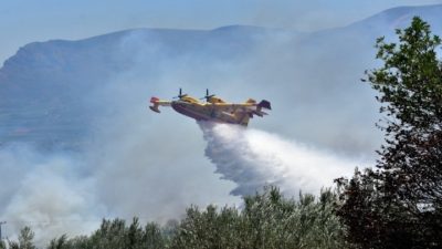 Φωτιά σε δύσβατη δασική περιοχή στη Μόλα Καλύβα Χαλκιδικής- Ενισχύονται οι δυνάμεις