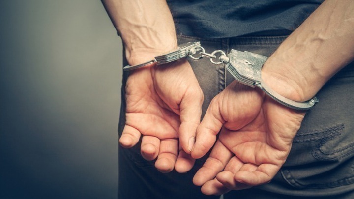 Συνελήφθη άνδρας που πέταξε τρία κουτάβια σε κάδους απορριμμάτων στη Μυτιλήνη. Μια σύλληψη και για κακομεταχείριση αλόγου