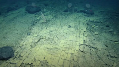 Ερευνητές βρήκαν έναν «κίτρινο δρόμο από τούβλα» στο βυθό του Ειρηνικού ωκεανού. Πως εξηγούν το φαινόμενο (βίντεο)