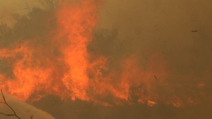 Φωτιά και στον Έβρο. Μάχη να σωθεί το δάσος της Δαδιάς. Οριοθετήθηκαν οι πυρκαγιές σε Τραγανό, Βάρδα, Άγναντα