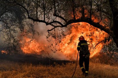 Φωτιά Πεντέλη. Διακοπές ρεύματος στο Ντράφι. Ισχυροί άνεμοι δυσχαιρένουν το έργο της κατάσβεσης και δημιουργούν νέες εστίες