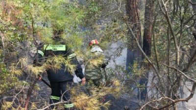 Μπόρα – ανακούφιση στο δάσος της Δαδιάς. Απάντηση Κολυδά περί λιτανείας: “Το είχαμε προβλέψει στην ΕΜΥ”