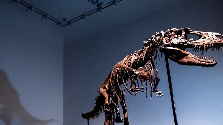 Σκελετός δεινοσαύρου πωλήθηκε σε δημοπρασία έναντι 6,1 εκατ. δολάρια. Αντιδράσεις από την επιστημονική κοινότητα