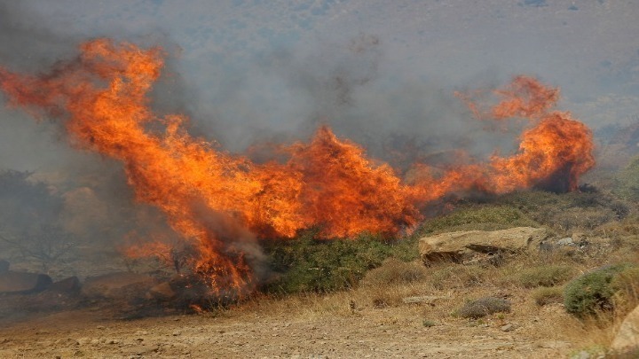 Μεγάλη φωτιά στο Δίστομο Βοιωτίας. Εικόνες από την αγωνιώδη προσπάθεια πυρόσβεσης