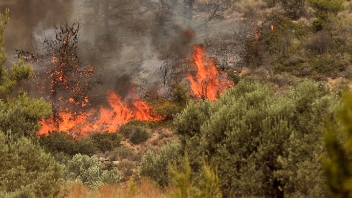 Φωτιές σε Ηλεία και Κορινθία. Σε εξέλιξη επιχείρηση της Πυροσβεστικής