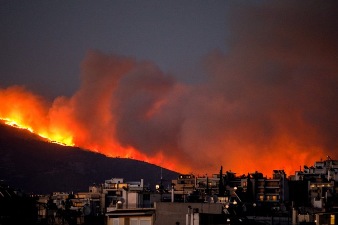 Δήμαρχος Ραφήνας: Η πυρκαγιά εξαπλώνεται σαν “χταπόδι”. Έκκληση για τα πυρόπληκτα κατοικίδια