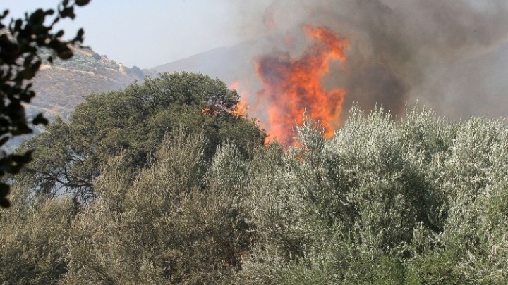 Ζέστη και βοριάδες έως 7 μποφόρ σήμερα στις περισσότερες περιοχές της χώρας. Πολύ υψηλός κίνδυνος πυρκαγιών