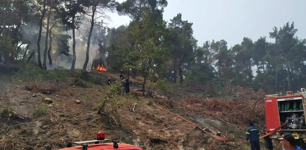 Φωτιά στον Έβρο. Για τρίτη μέρα καίει στο δάσος της Δαδιάς. Επίγειες και εναέριες δυνάμεις στη μάχη της κατάσβεσης