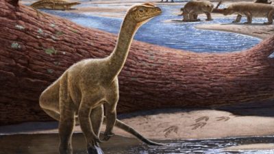 Επιστήμονες ανακάλυψαν τον αρχαιότερο δεινόσαυρο της Αφρικής στη Ζιμπάμπουε