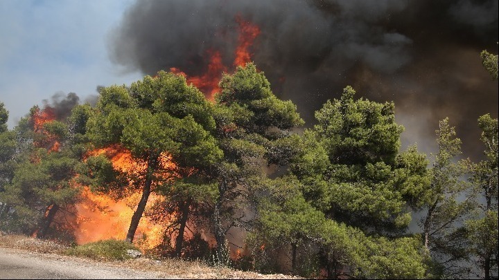 Φωτιά κοντά σε κατοικημένες περιοχές στα Πυργιώτικα Αργολίδας. Eκκενώθηκε ξενοδοχείο