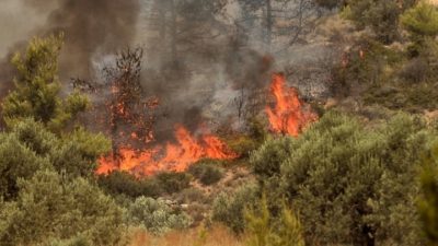 Φωτιά στο Σχίνο Μεσσηνίας έξω από την Πύλο. Εντολή εκκένωσης για το Μεσοχώρι