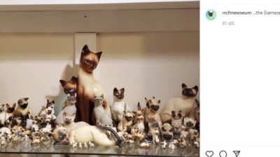 Ζευγάρι στις ΗΠΑ δημιούργησε «mewseum» με 13.000 ειδώλια και έργα τέχνης με θέμα τις γάτες