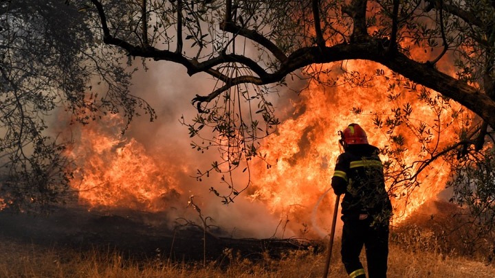 Μαίνεται η φωτιά στη Θάσο. Εντολή για εκκένωση οικισμού. Επιχειρούν ισχυρές πυροσβεστικές δυνάμεις