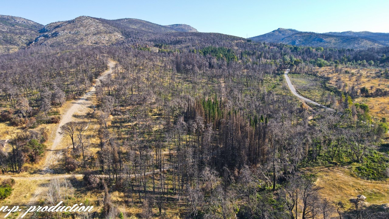 Πως κάηκε όλο το δάσος στο Τατόι. Δείτε εικόνες ένα χρόνο μετά την καταστροφή (drone)