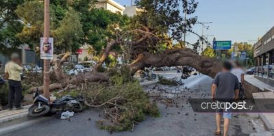 Μοτοσικλετιστής, πατέρας τριών παιδιών, σκοτώθηκε από δέντρο που έπεσε σε  κόμβο του Ηρακλείου Κρήτης. Μαρτυρίες