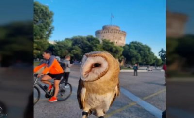 Αντιδράσεις για άντρα που βγήκε βόλτα στον Λευκό Πύργο με μία κουκουβάγια δεμένη με αλυσίδα στο χέρι