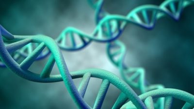 Μεγάλη ανακάλυψη: Πώς τα μιτοχόνδρια «παρεμβαίνουν» και αλλάζουν το DNA. Πως σχετίζονται με τον καρκίνο