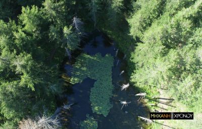 Ζορίκα. Η μικροσκοπική λίμνη με τα νούφαρα. Δείτε από ψηλά τον άγνωστο παράδεισο της Πίνδου (drone)