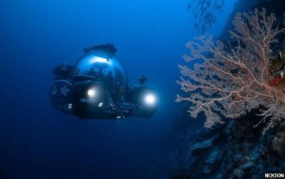 Νέο οικοσύστημα ανακαλύφθηκε σε βάθος 500 μέτρων στον Ινδικό Ωκεανό. Γιατί το αποκαλούν «όαση της ζωής» (βίντεο)