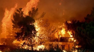 “Παρέλαβα τη μητέρα μου σε σακούλα σούπερ μάρκετ”. Σοκάρουν οι καταθέσεις συγγενών για την πυρκαγιά στο Μάτι