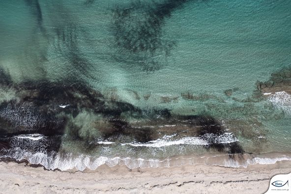 Θημωνιές. Το σωτήριο “φράγμα” από φύκια που προστατεύει τις ακτές από τον κυματισμό του χειμώνα και τη διάβρωση