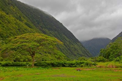 Γιατί η Χαβάη ανήκει γεωγραφικά στην Ωκεανία και πολιτειακά στις ΗΠΑ