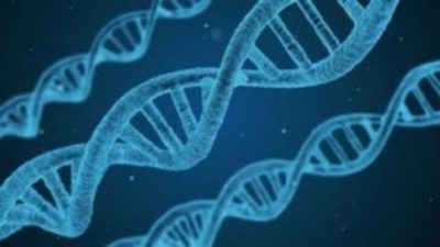Νέα έρευνα DNA δείχνει ότι ο άνθρωπος συνεχίζει να εξελίσσεται. Εμφανίστηκαν τουλάχιστον 155 νέα γονίδια