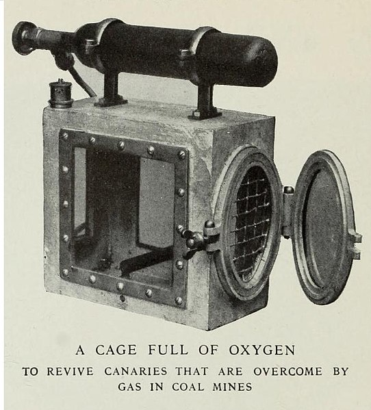 canaries_Revival_cage