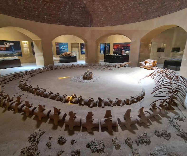 fossil_museum_egypt