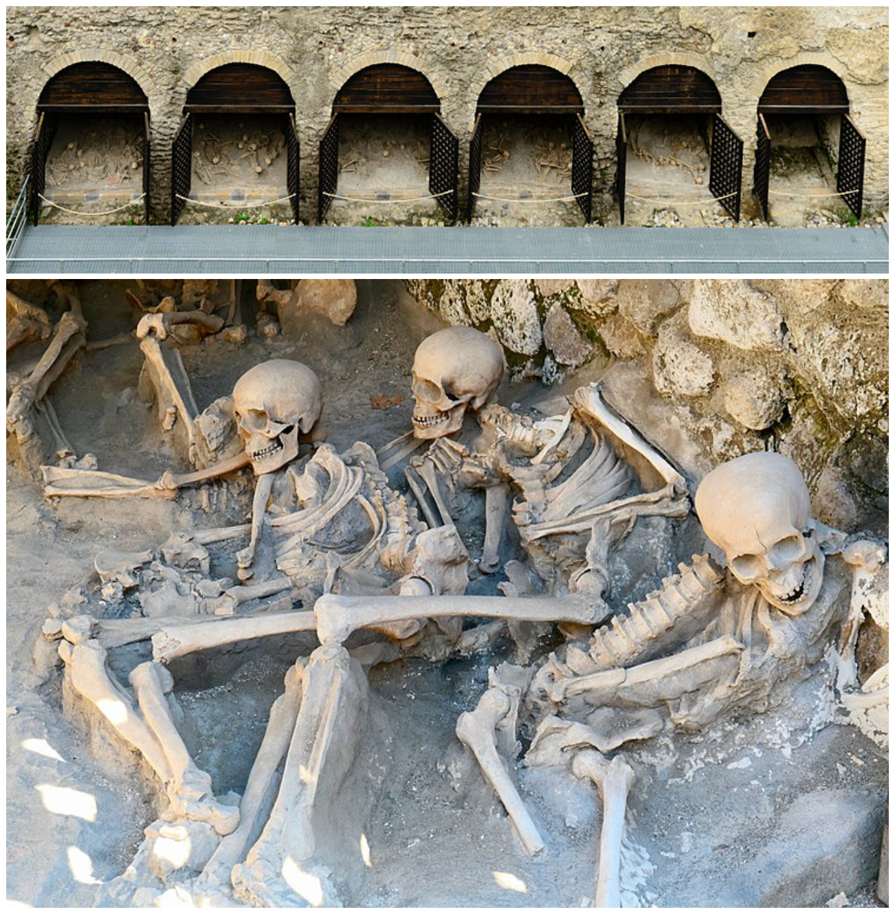 skeletons_herculaneum_collage