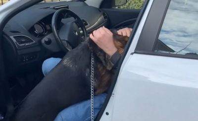 Βρήκε τον σκύλο του μετά από πέντε χρόνια. Δείτε το συγκινητικό βίντεο της επανένωσης