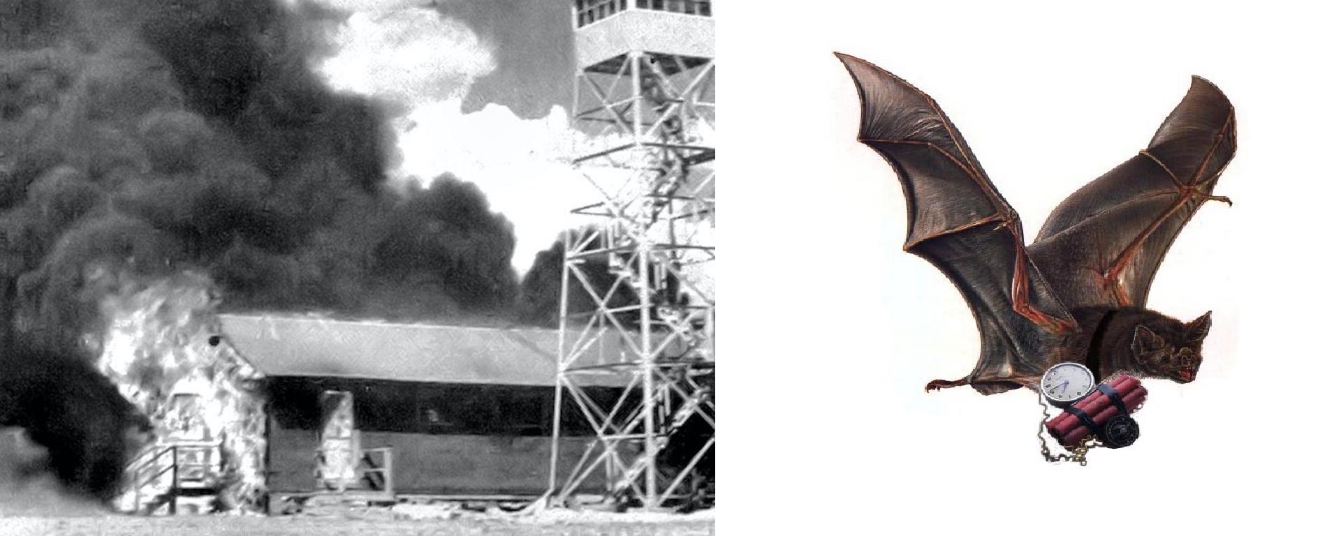 Νυχτερίδες με ναπάλμ! Οι ΗΠΑ είχαν ολοκληρωμένο σχέδιο για εμπρησμό Ιαπωνικών πόλεων. Γιατί δεν το εφάρμοσαν