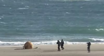 Tι είναι το «Αυγό του Γκοτζίλα»; Η μυστηριώδης «μπάλα» που βρέθηκε σε παραλία της Ιαπωνίας