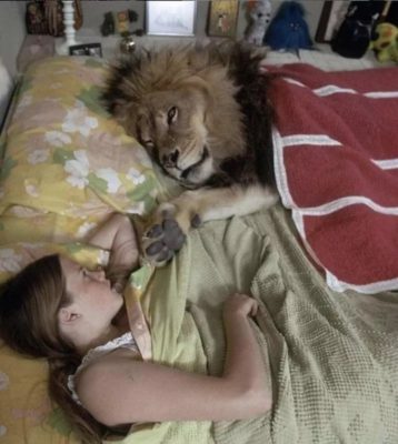 Γιατί η Μέλανι Γκρίφιθ στα 14 της, συζούσε μ’ ένα λιοντάρι! Κοιμόταν ακόμη και στο κρεβάτι της