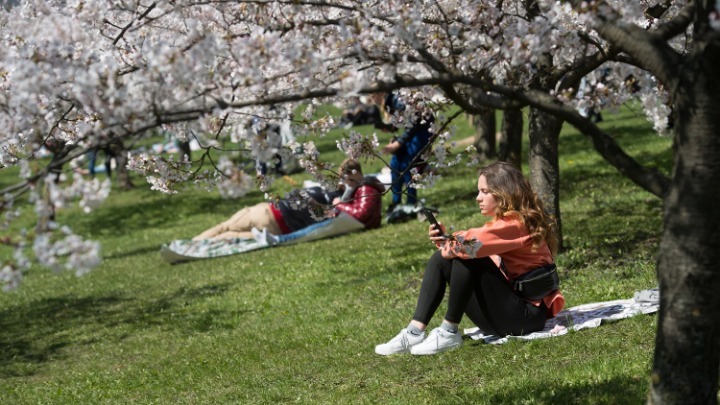 Δάση και χώροι πρασίνου μειώνουν τους κινδύνους για την υγεία. Τι δείχνει παγκόσμια έρευνα