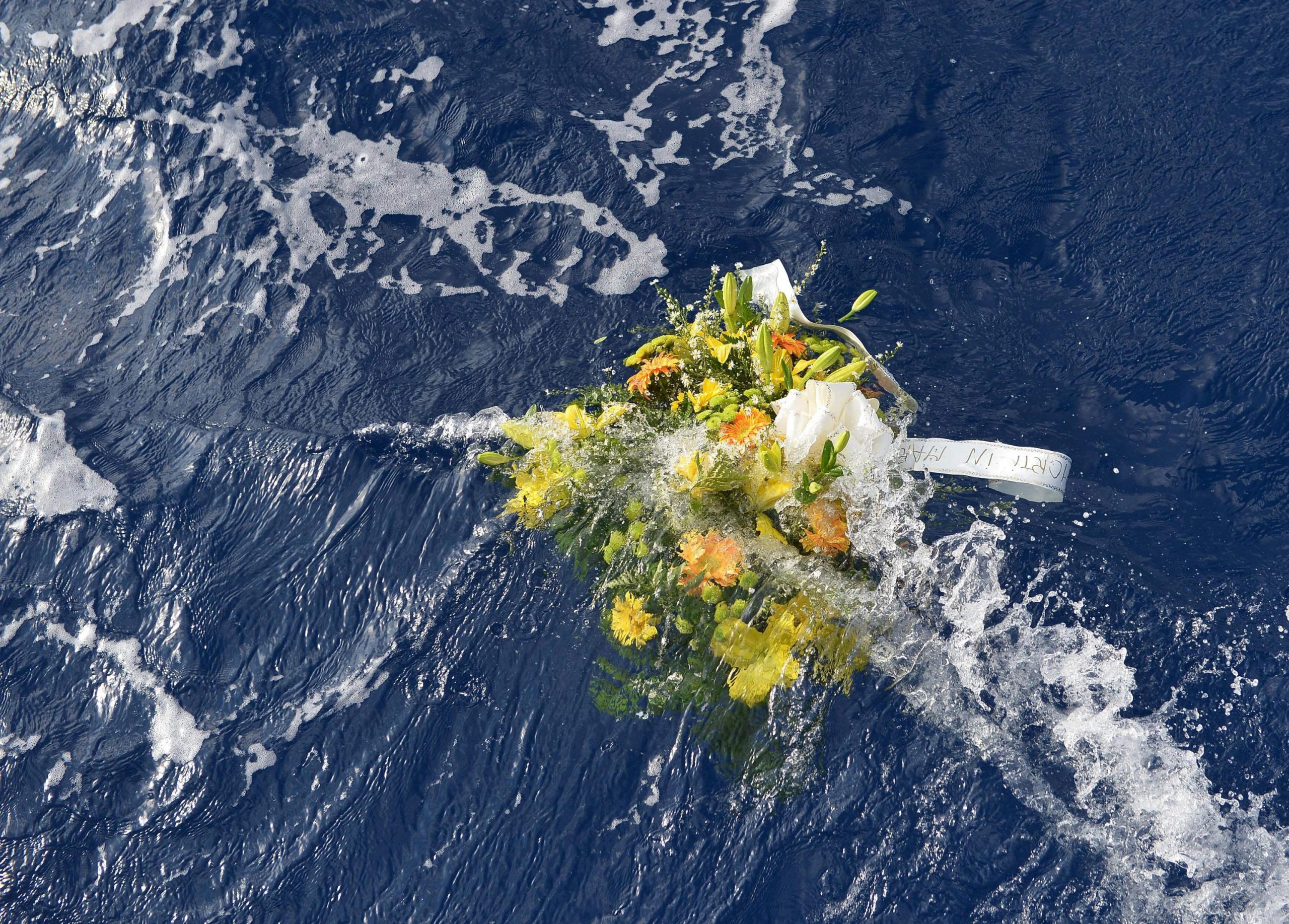Lampedusa: flowers in the shipwreck site