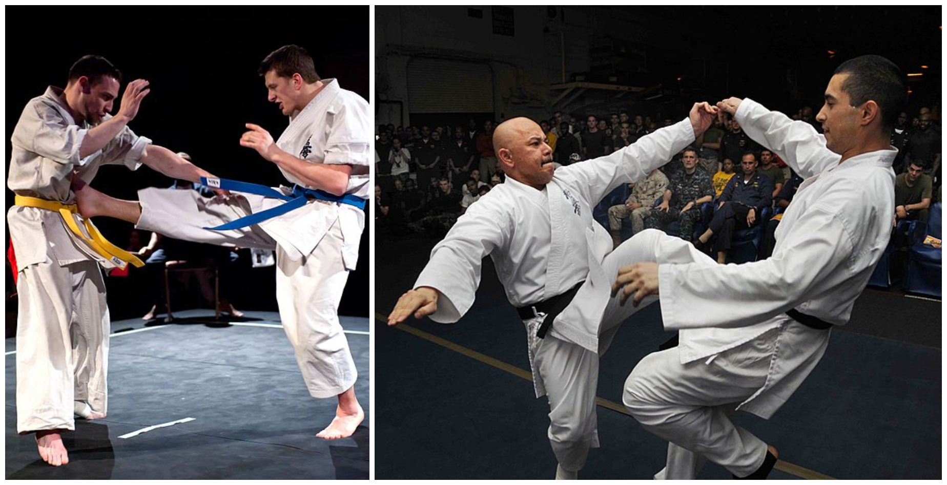 karate_collage