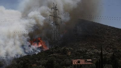 Μία προσαγωγή για την πυρκαγιά στον Νέο Κουβαρά. Καλύτερη εικόνα από το μέτωπο της φωτιάς