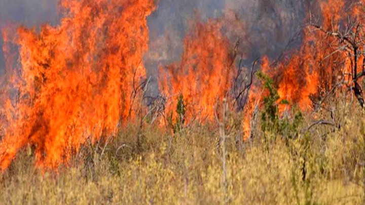 Οι 11 περιοχές που υπάρχει υψηλός κίνδυνος για πυρκαγιά. Σε επιφυλακή η Πολιτική Προστασία