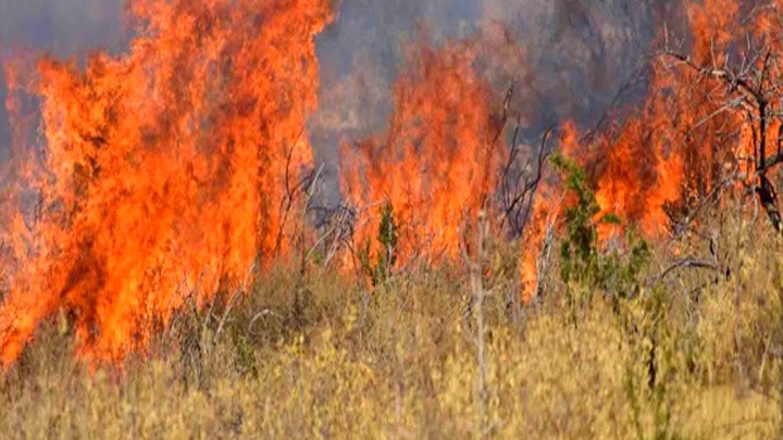 Συνελήφθη εμπρηστής για τη φωτιά στη Νεάπολη Βόλου.  Έριχνε εύφλεκτο υγρό. Πολλαπλά μέτωπα στη Μαγνησία. Αγνοείται βοσκός