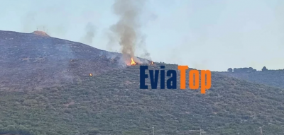 Οριοθετήθηκε η φωτιά στην Εύβοια. Ολονύχτια μάχη με τις φλόγες στο δήμο Αλιβερίου-Κύμης