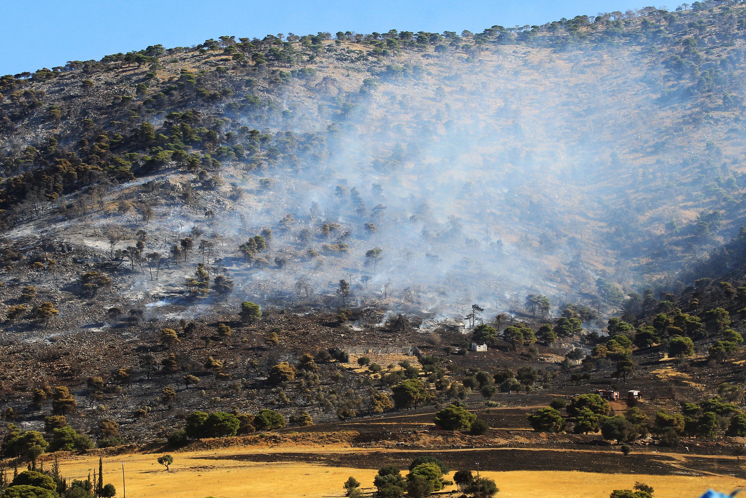 Συνελήφθη 87χρονος για εμπρησμό στον Άγιο Στέφανο Αττικής. Εντοπίστηκε να βάζει φωτιά με εύφλεκτο υγρό σε ξερά χόρτα